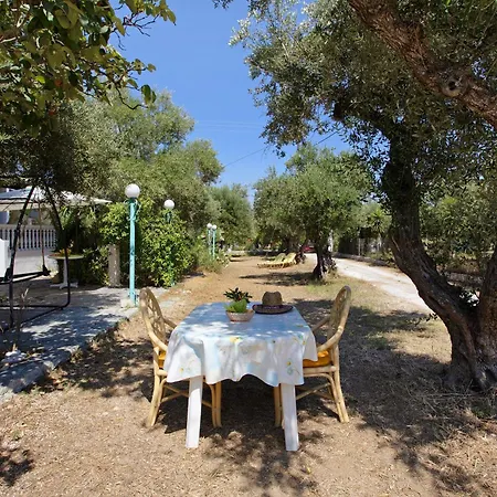 Areti Orfeas 3 Vasilikos (Zakynthos)